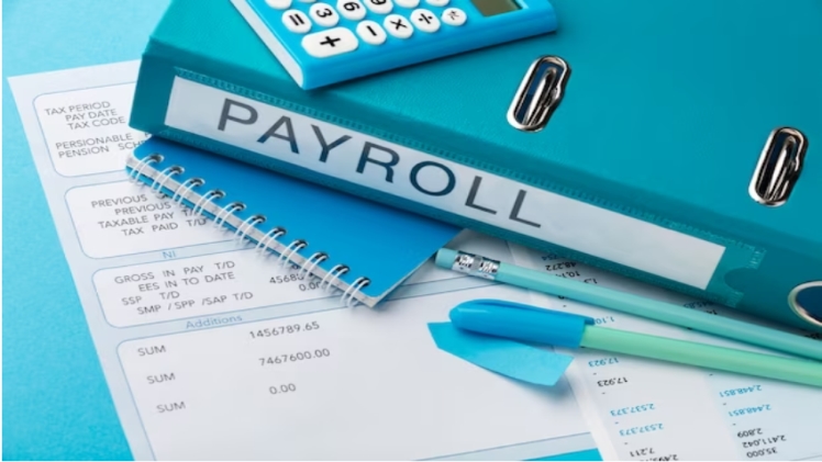 The Role of Payroll Systems in Avoiding Costly Errors1